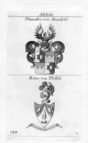 Pfaundler Sternfeld Pfeffel Wappen coat of arms Heraldik Kupferstich