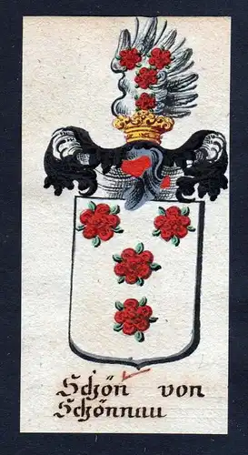 Schön von Schönau Böhmen Wappen coat of arms Manuskript