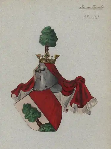 Herren von Hassell Hannover Wappen Genealogie genealogy Original Aquarell