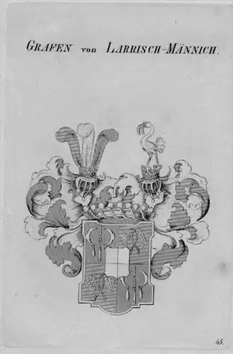 Larrisch Männich Wappen Adel coat of arms heraldry Heraldik Kupferstich
