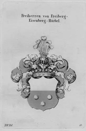 Freiberg- Eisenberg- Hürbel Wappen Adel coat of arms heraldry Kupferstich