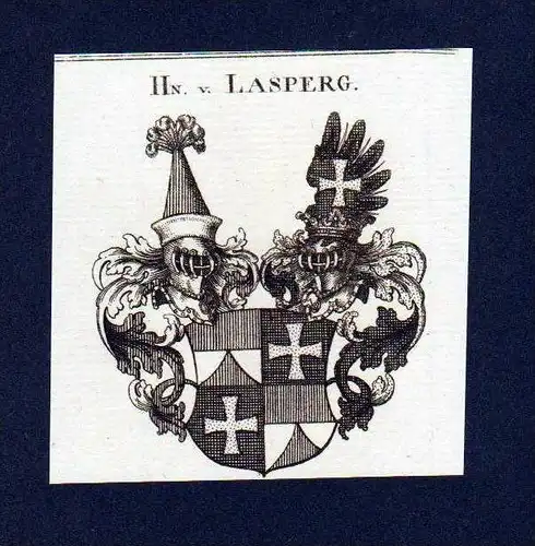 Herren von Lasperg Original Kupferstich Wappen engraving Heraldik crest
