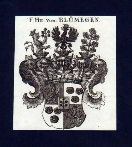 Freiherren v. Blümegen Kupferstich Wappen