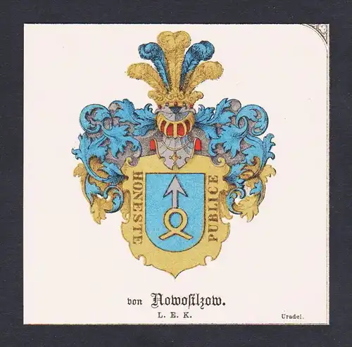 . von Nowosilzow Wappen Heraldik coat of arms heraldry Chromo Lithographie