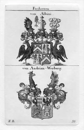 Albini Adrian Werbung Wappen coat of arms heraldry Heraldik Kupferstich