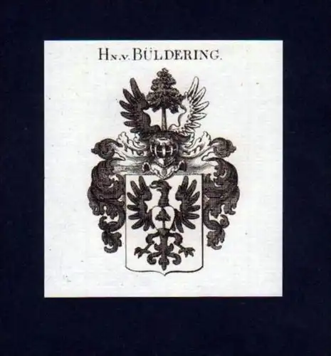 Herren v. Büldering Heraldik Kupferstich Wappen