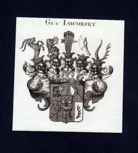 Grafen v. Jaworsky Heraldik Kupferstich Wappen