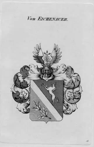 Eichenauer Wappen Adel coat of arms heraldry Heraldik crest Kupferstich