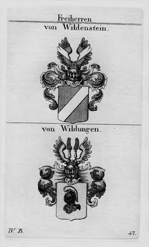 Wildenstein Wildungen Wappen Adel coat of arms Heraldik crest Kupferstich