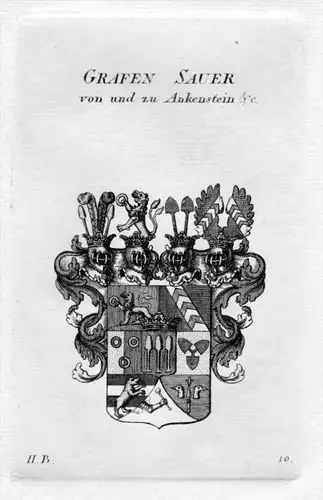 Sauer Ankenstein Wappen Adel coat of arms heraldry Heraldik Kupferstich