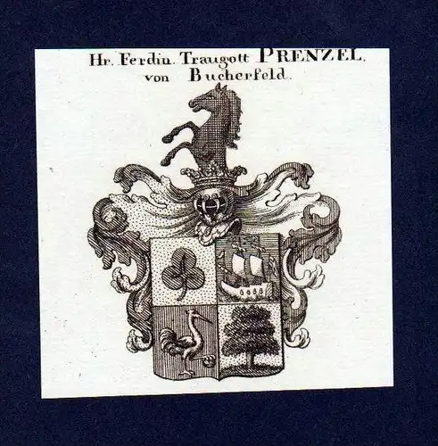 Herren Prenzel von Bucherfeld Kupferstich Wappen Heraldik coat of arms