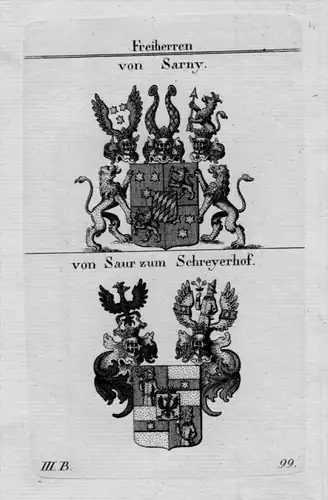 Sarny Saur Schreyerhof Wappen Adel coat of arms heraldry Kupferstich