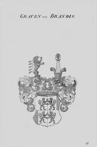 Brandis Wappen Adel coat of arms heraldry Heraldik crest Kupferstich