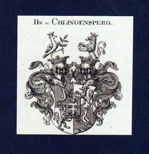 Herren von Chlingensperg Kupferstich Wappen Heraldik coat of arms