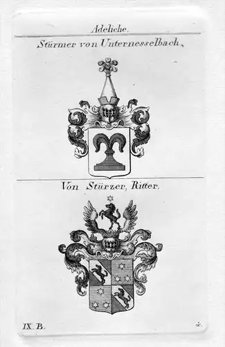 Stürmer Stürzer - Wappen Adel coat of arms heraldry Heraldik Kupferstich
