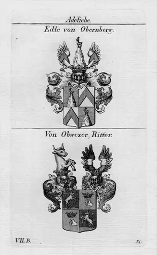 Obernberg Obwexer Wappen coat of arms heraldry Heraldik Kupferstich
