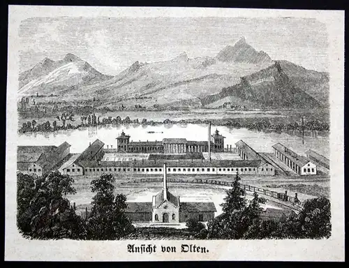 "Ansicht von Olten" - Olten Schweiz Suisse vue Ansicht Holzstich antique print