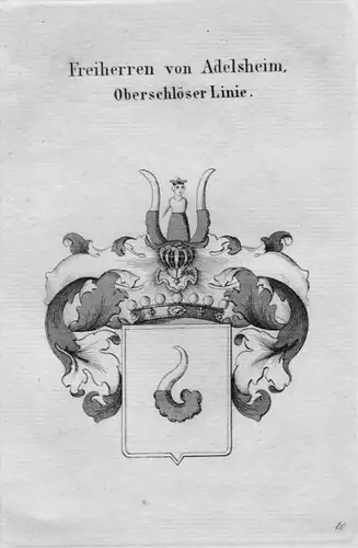 Adelsheim Wappen Adel coat of arms heraldry Heraldik crest Kupferstich