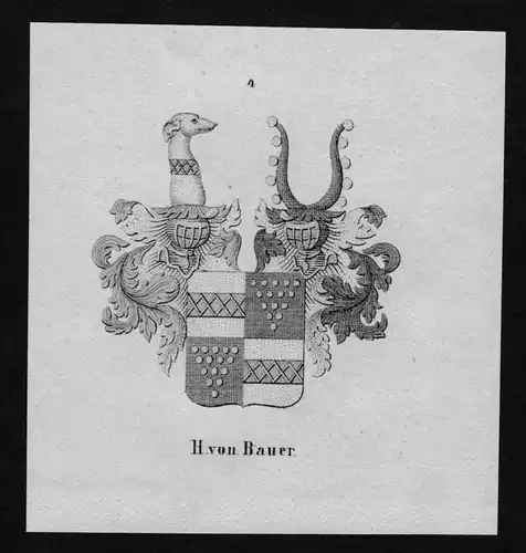 von Bauer Wappen Adel coat of arms heraldry Heraldik Lithographie