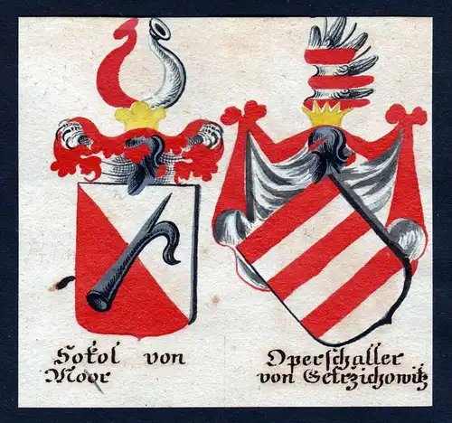 Sokol vom Moor Operschall von Getrzichowitz Böhmen Wappen coat of arms Manuskript