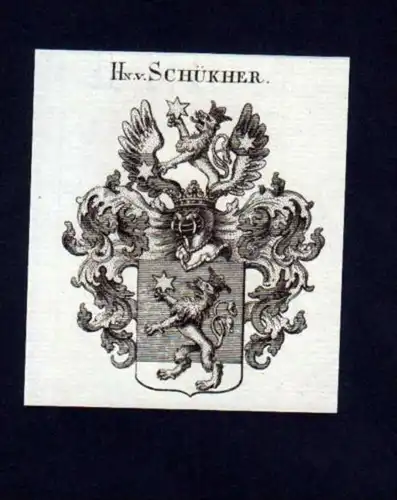 Herren v. Schükher Heraldik Kupferstich Wappen
