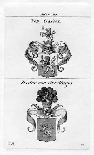 Grasser Gradinger Wappen Adel coat of arms heraldry Heraldik Kupferstich