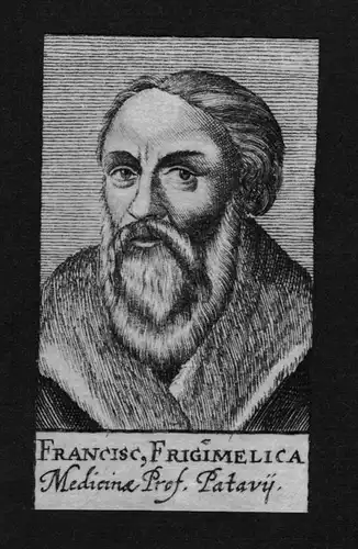 Franciscus Frigimelica Arzt doctor Professor Padua Kupferstich Portrait