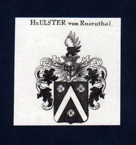 Herren v. Ulster v. Rosenthal Kupferstich Wappen