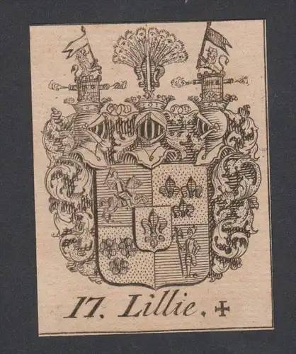 Lillie Wappen vapen coat of arms Genealogie Heraldik Kupferstich