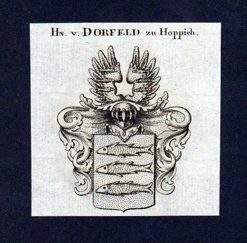 Herren von Dorfeld Hoppich Kupferstich Wappen Heraldik coat of arms