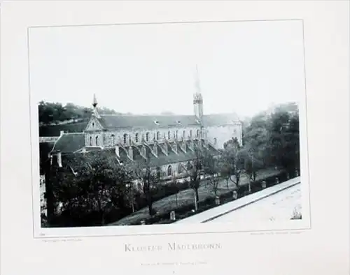 Kloster Maulbronn Original Fotografie  Foto photo vintage antik