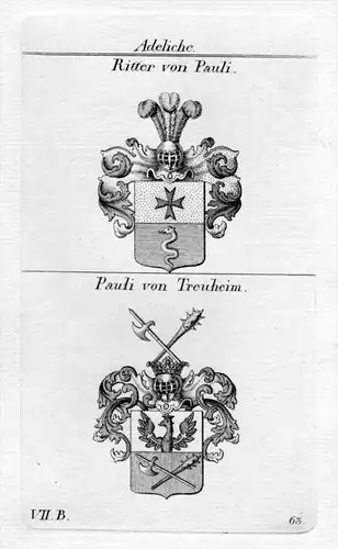 Pauli Treuheim Wappen coat of arms Heraldik heraldry Kupferstich