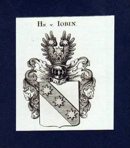Herren von Iobin Original Kupferstich Wappen engraving Heraldik crest