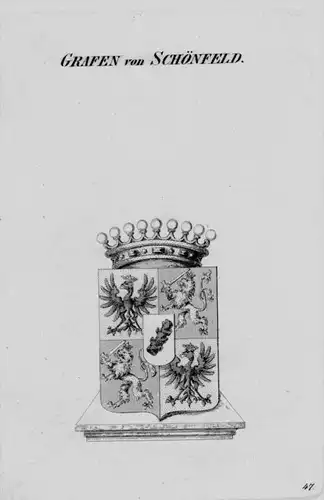Schönfeld Wappen Adel coat of arms heraldry Heraldik crest Kupferstich