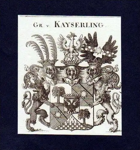 Freiherren von Kayserling Kupferstich Wappen coat of arms Heraldik