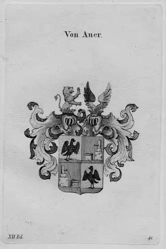 Auer Wappen coat of arms heraldry Heraldik Kupferstich