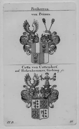 Bünau Cotta Cottendorf Hohenkammer Giebing Wappen Heraldik Kupferstich