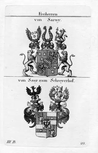 Sarny Saur - Wappen Adel coat of arms heraldry Heraldik Kupferstich