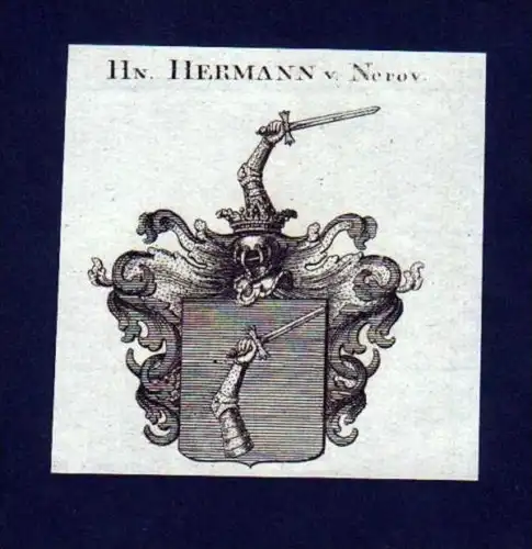 Herren v. Hermann v. Nerov Kupferstich Wappen