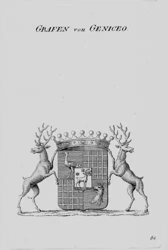 Geniceo Wappen Adel coat of arms heraldry Heraldik crest Kupferstich