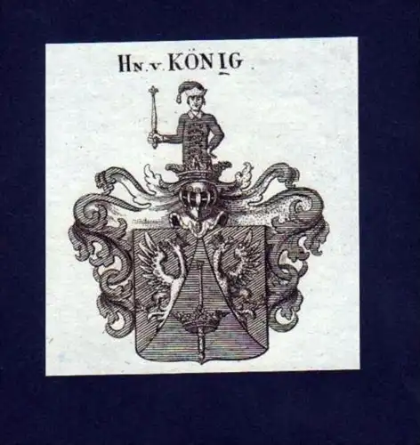 Herren v. König Heraldik Kupferstich Wappen