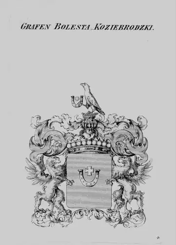 Bolesta Koziebrodzki Wappen Adel coat of arms heraldry Heraldik Kupferstich