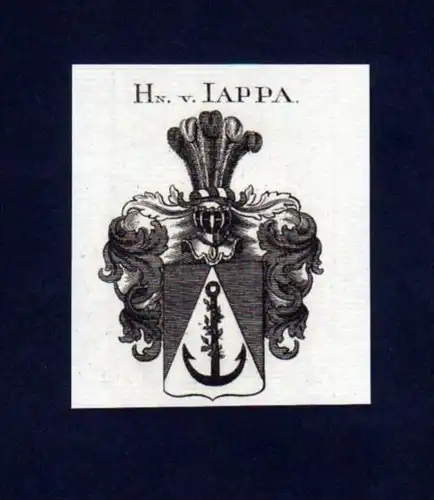 Herren v. Jappa Heraldik Kupferstich Wappen