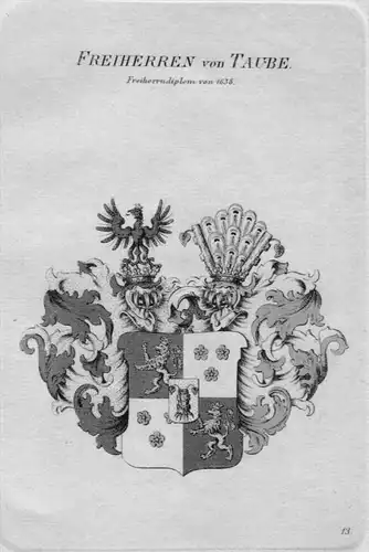 Taube Wappen Adel coat of arms heraldry Heraldik crest Kupferstich
