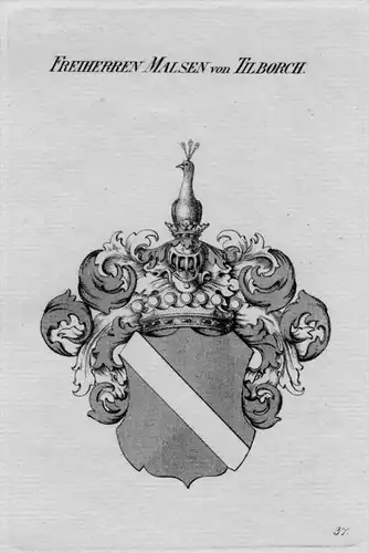 Malsen Tilborch Wappen Adel coat of arms heraldry Heraldik Kupferstich