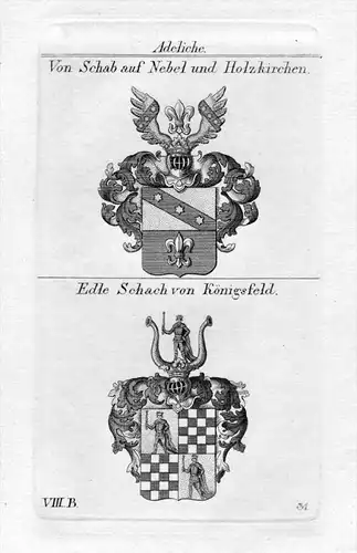 Schab Nebel Holzkirchen / Schach Königsfeld - Wappen Adel coat of arms heraldry Heraldik Kupferstich