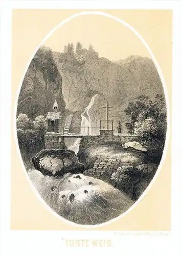 Wasserfall Totes Weib Mürz Steiermark Original Lithographie Reichert