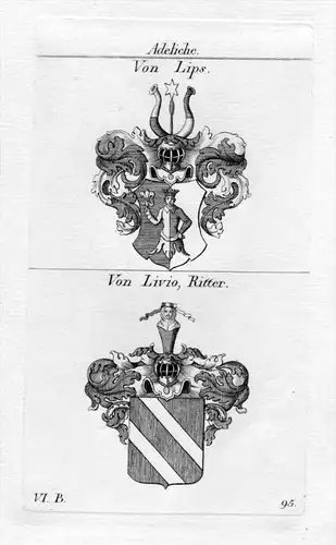 Von Lips / Von Livio Ritter / Bayern - Wappen coat of arms Heraldik heraldry Kupferstich