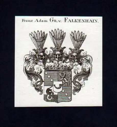 Franz Adam Graf v. Falkenhain Kupferstich Wappen