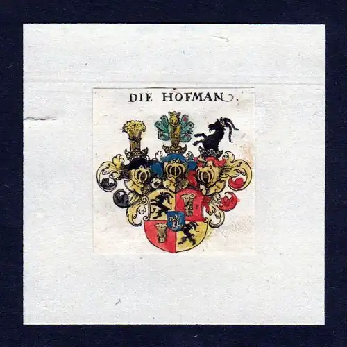 17. Jh Hofman Hofmann Wappen Adel coat of arms heraldry Heraldik Kupferstich